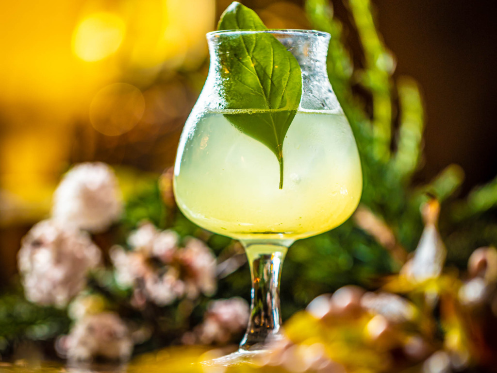 En drinks hos Alberts