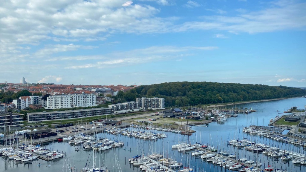 Udsigten fra Den Fede Drue