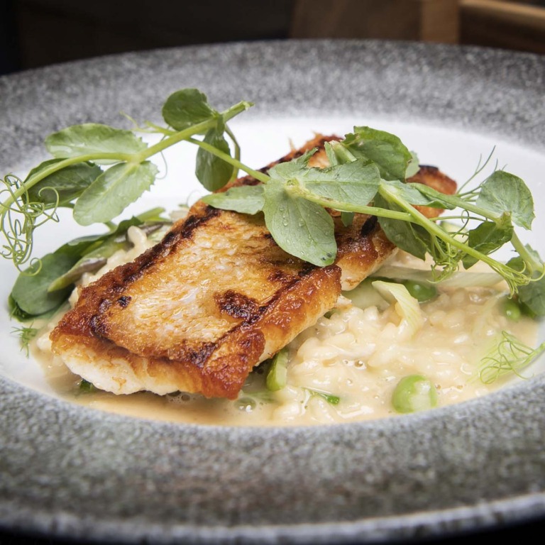 Café Faust ved åen i Aarhus C-11