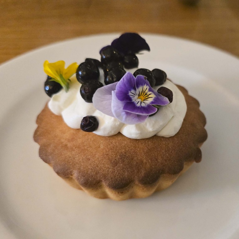 Mefisto i Aarhus C-23