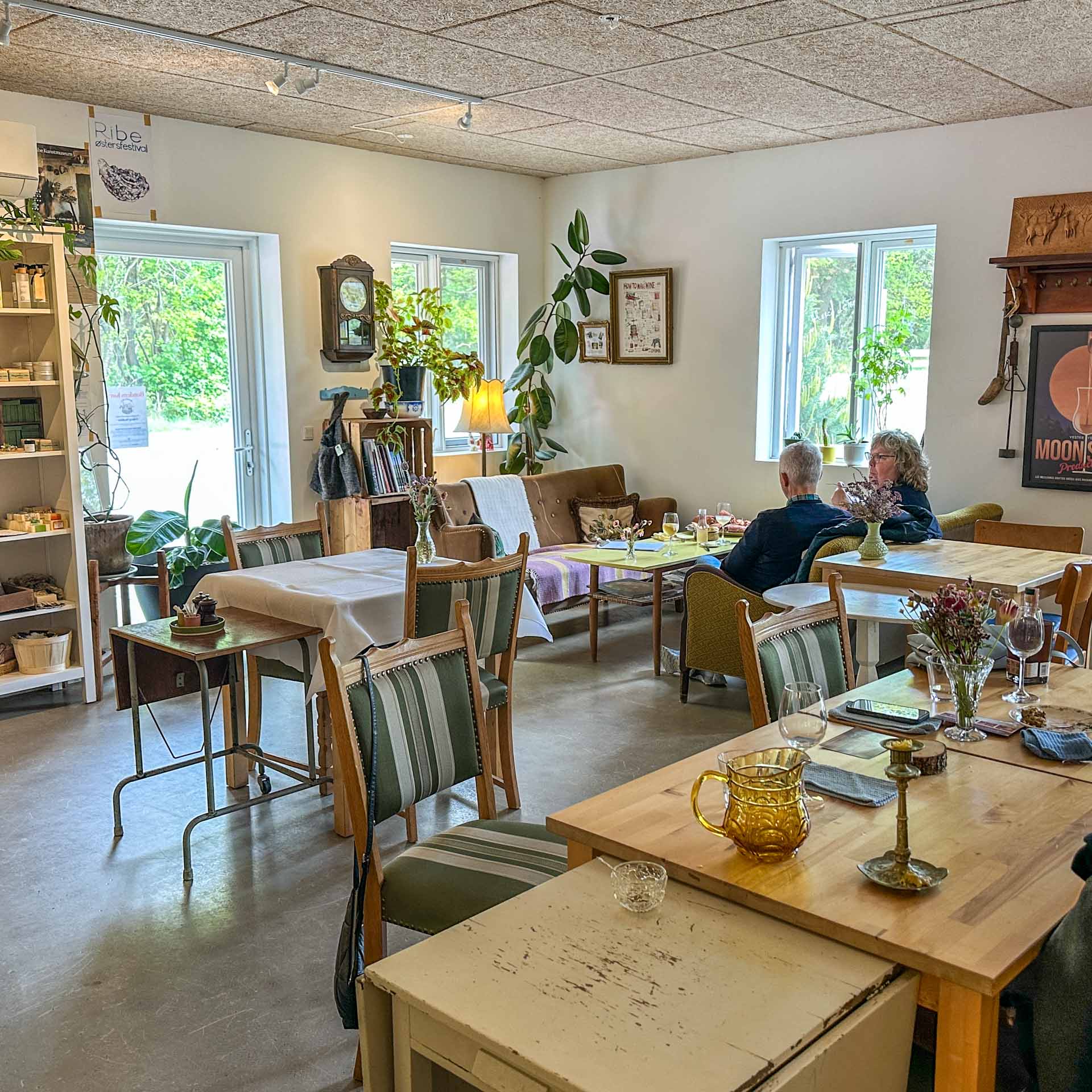 Der er en hjemlig hygge hos Vedsted Vedsted Vingård.