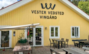 Vedsted Vedsted Vingård ligger tæt på Ribe.