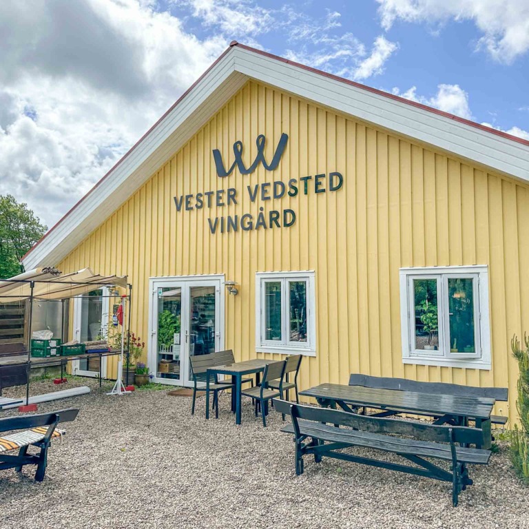 Vedsted Vedsted Vingård Ribe-7