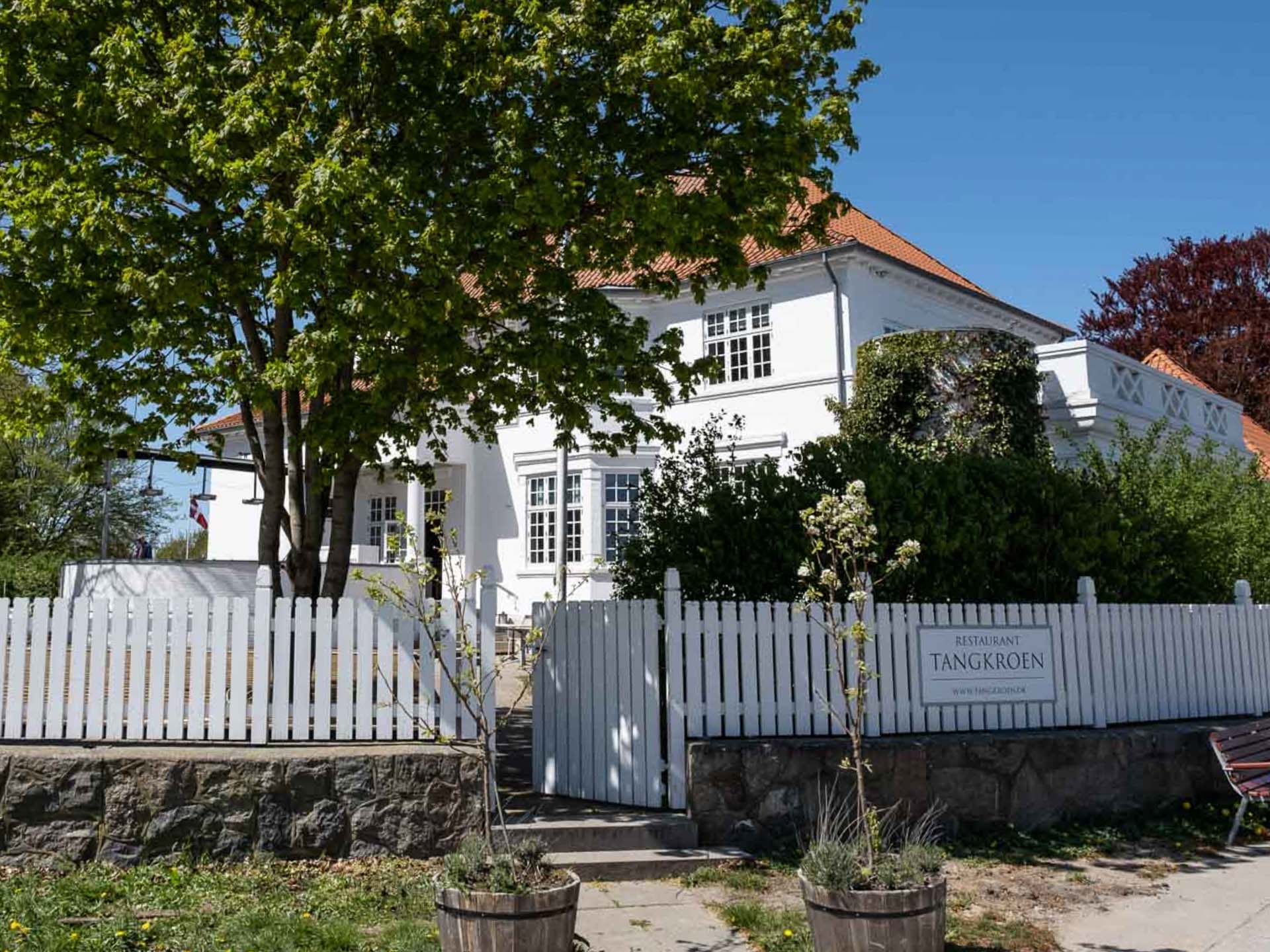 Tangkroen i Aarhus